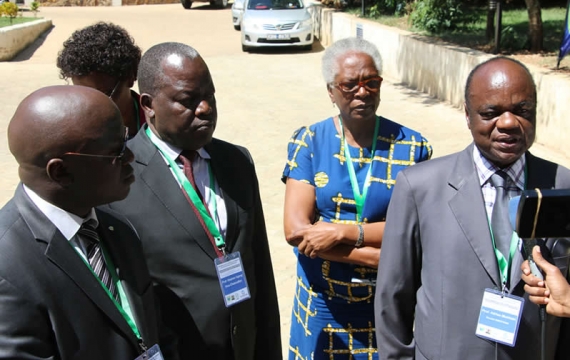 INSEFOOD holds inception workshop